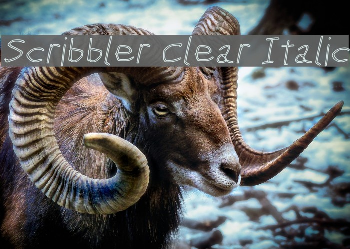 Scribbler Clear Italic Font examples