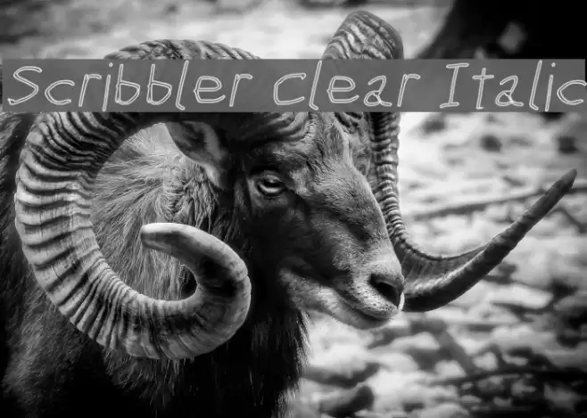Scribbler Clear Italic examples