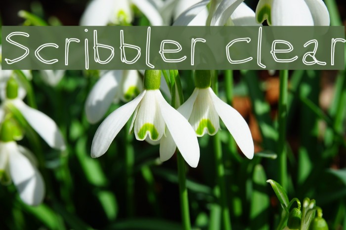 Scribbler Clear Example 3