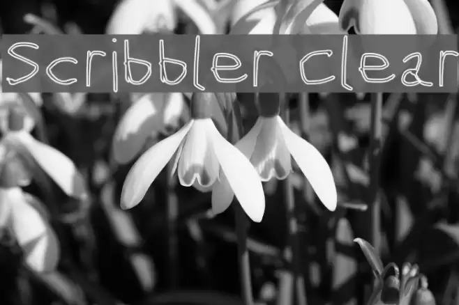 Scribbler Clear examples