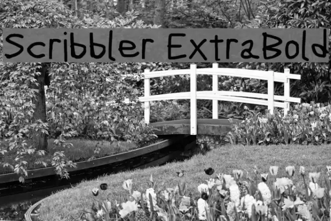 Scribbler ExtraBold Font examples
