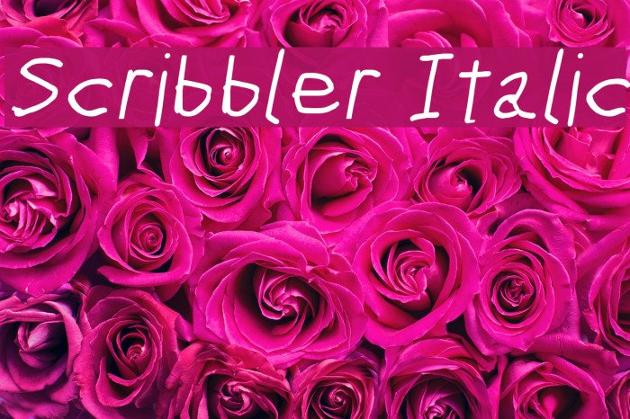 Scribbler Italic Font examples