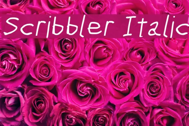 Scribbler Italic Example 3