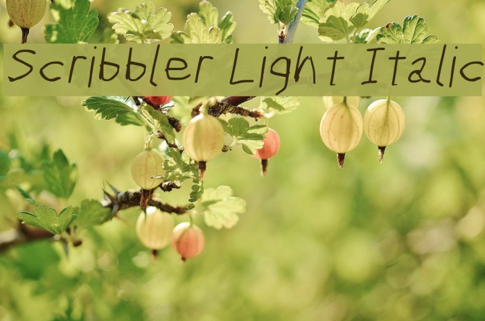 Scribbler Light Italic Font examples