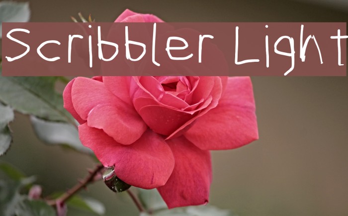 Scribbler Light Font examples