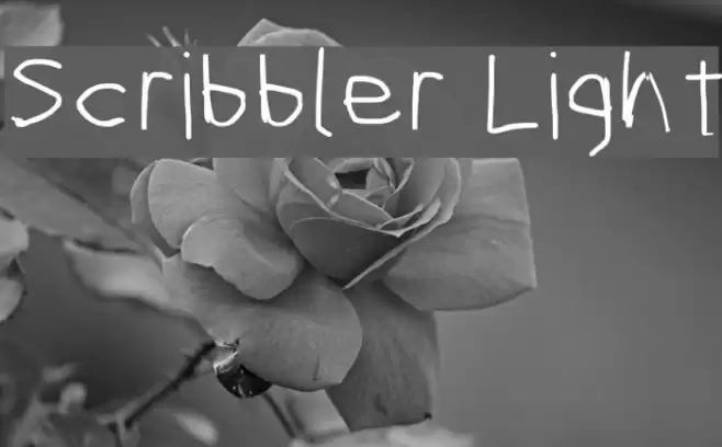 Scribbler Light examples