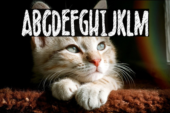 Scribblet Demo Example 1