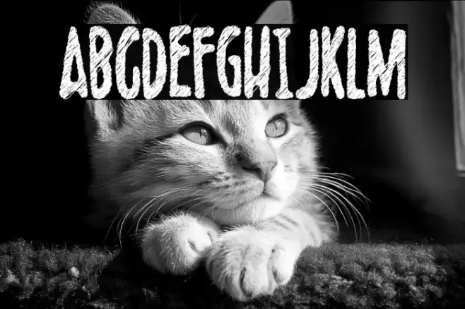 Scribblet Demo Font examples