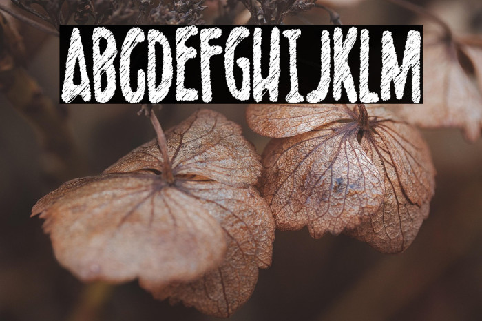 Scribblet Demo Example 2