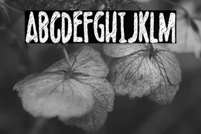 Scribblet Demo Font examples