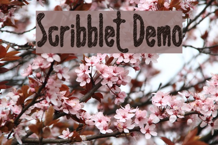 Scribblet Demo Font examples
