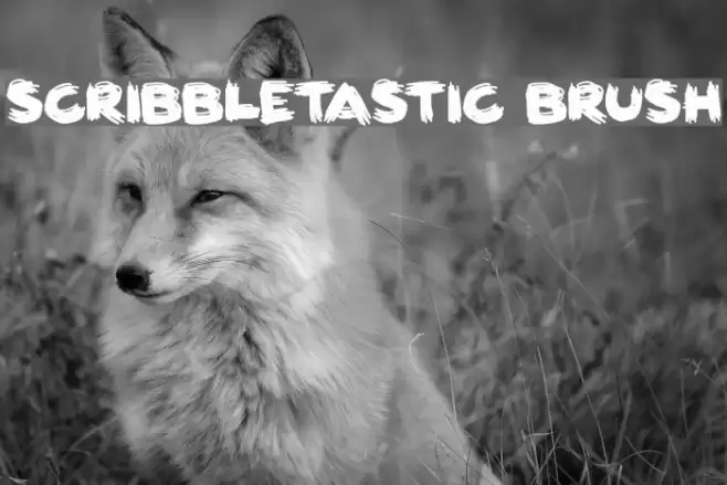 Scribbletastic Brush Font examples