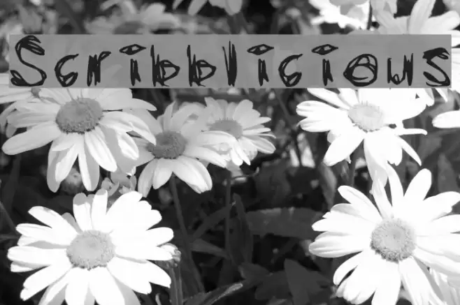 Scribblicious Font examples