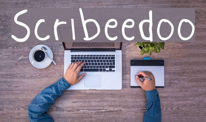 Scribeedoo Example 1