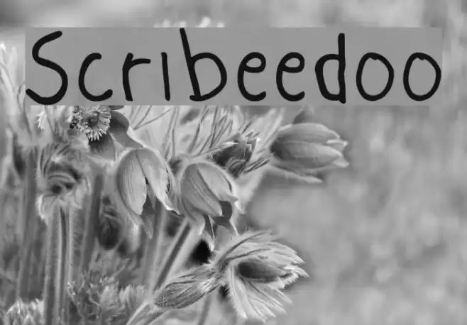 Scribeedoo Font examples