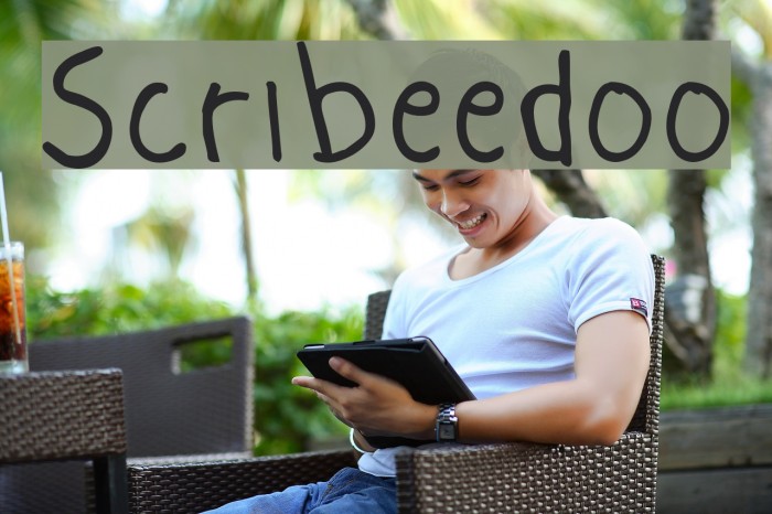 Scribeedoo Example 3