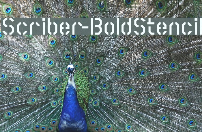 Scriber-BoldStencil Font examples