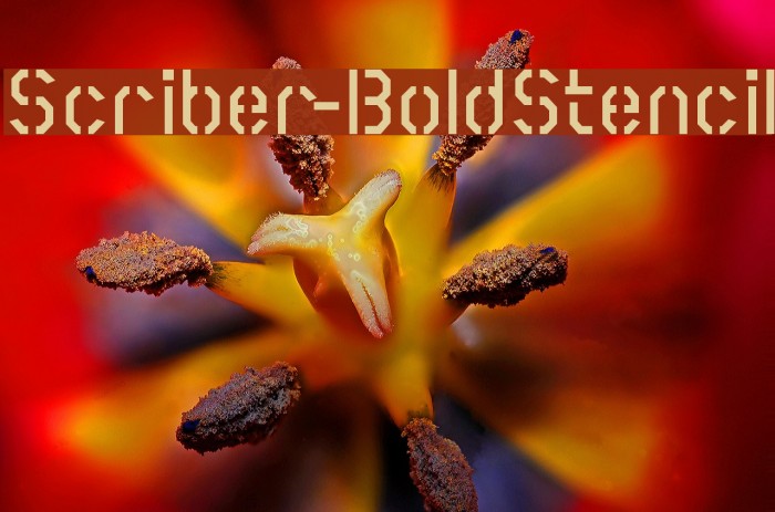 Scriber-BoldStencil Font examples