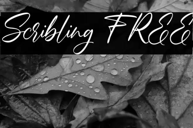 Scribling FREE Font examples