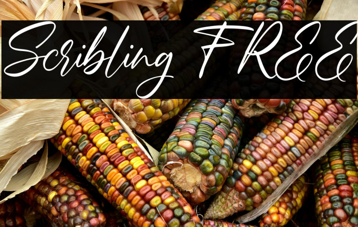 Scribling FREE Example 3