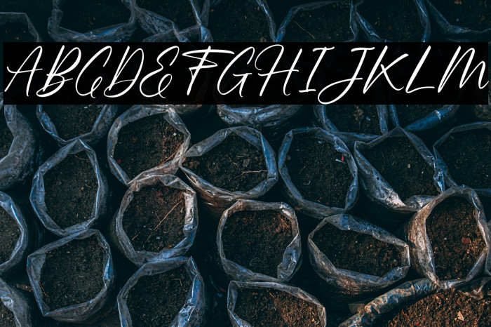 ScriblingFREE Example 1