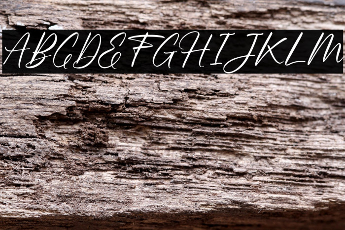 ScriblingFREE Example 2