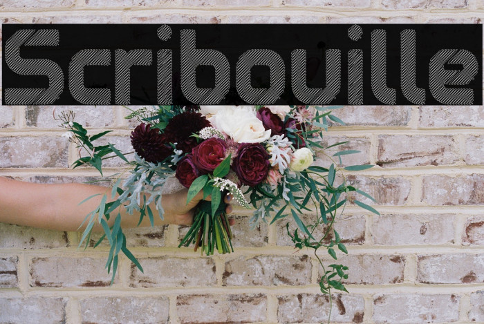 Scribouille Example 1