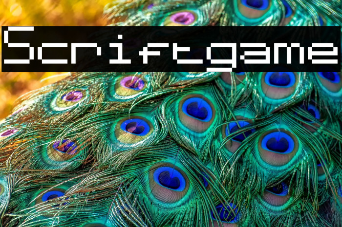 Scriftgame Example 1