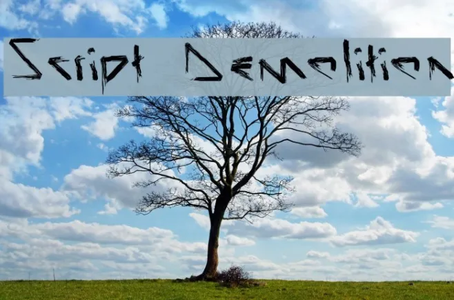Script Demolition Example 3
