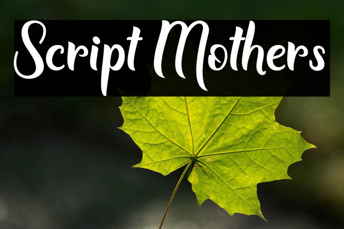 Script Mothers Example 1