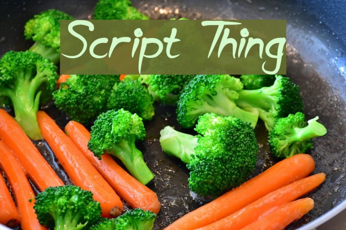Script Thing Font examples