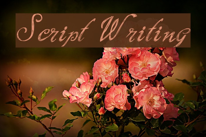 Script Writing Font examples