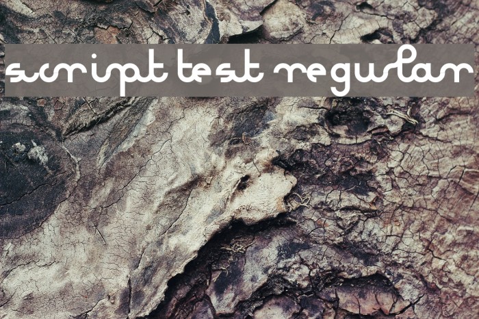 Script test Regular Font examples