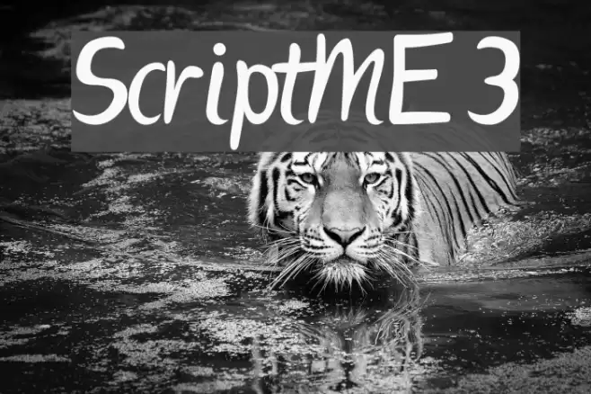 ScriptME 3 Font examples