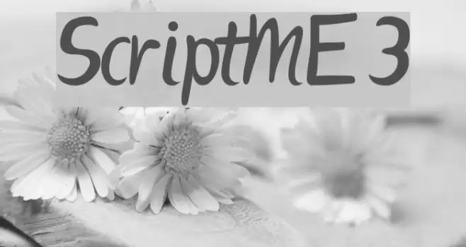 ScriptME 3 Font examples