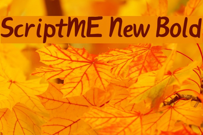 ScriptME New Bold Шрифта examples