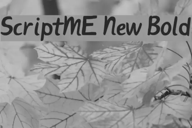 ScriptME New Bold Шрифта examples