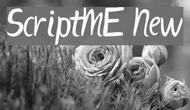 ScriptME New Font examples