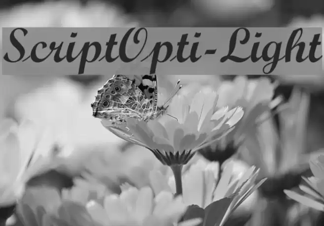 ScriptOpti-Light Font examples