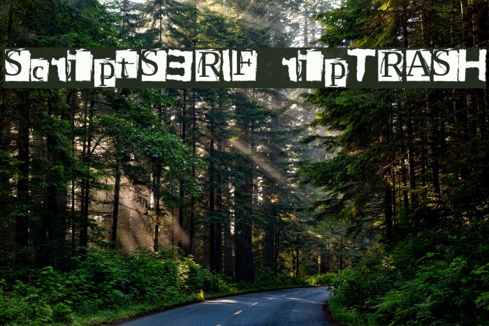 ScriptSERIF ripTRASH لخطوط تنزيل examples