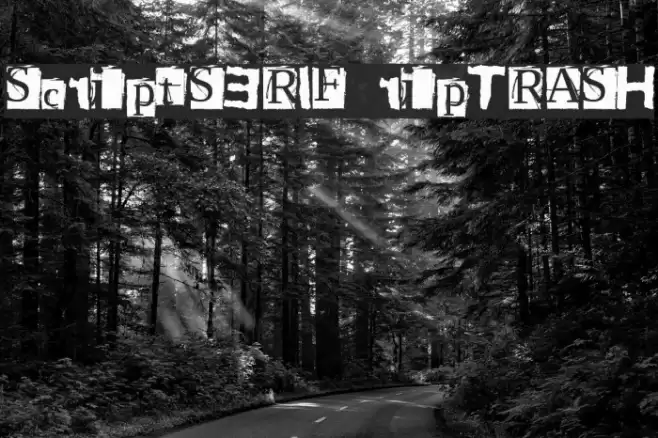ScriptSERIF ripTRASH خط examples