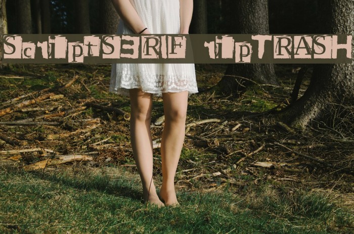 ScriptSERIF ripTRASH لخطوط تنزيل examples