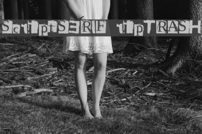 ScriptSERIF ripTRASH خط examples