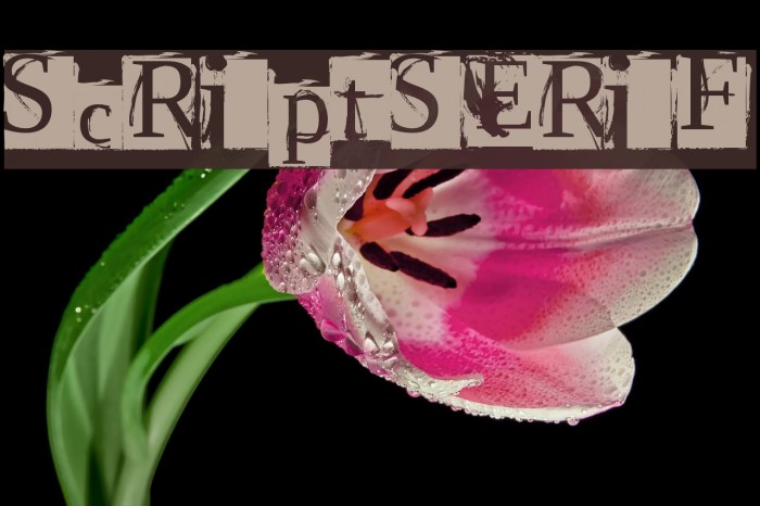 ScriptSERIF Font examples