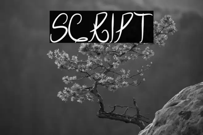 Script Caratteri examples