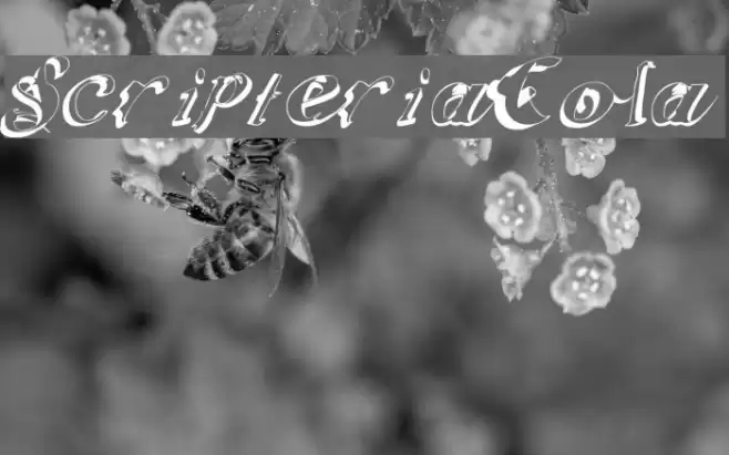 ScripteriaCola Polices examples