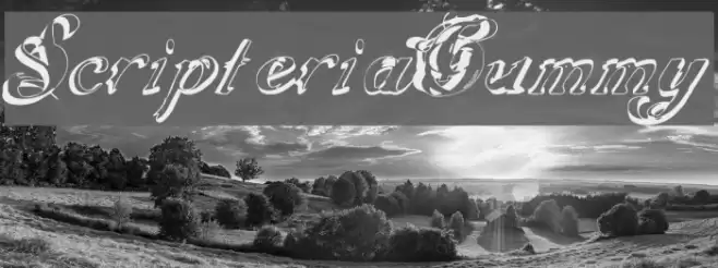 ScripteriaGummy Font examples