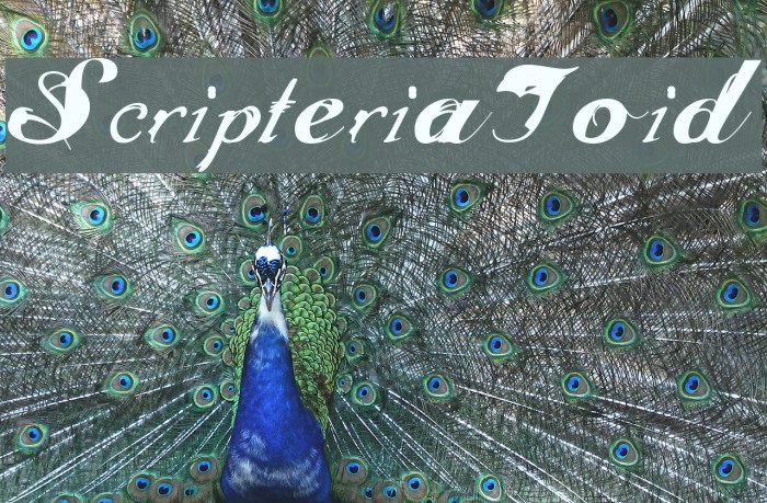 ScripteriaToid Font examples