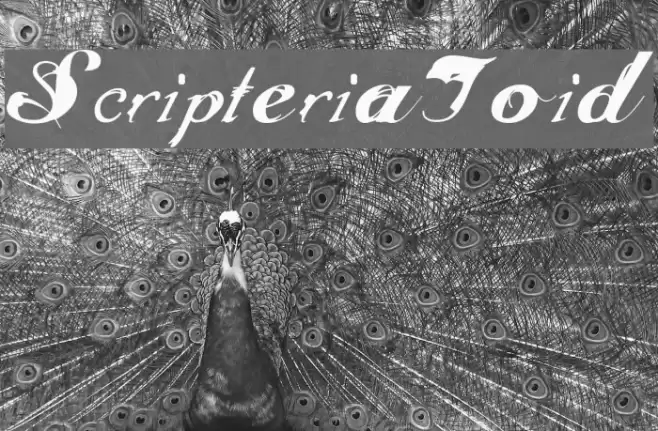 ScripteriaToid Font examples