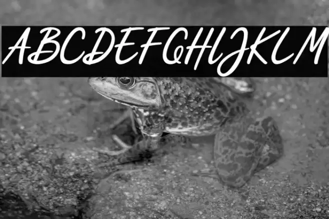 Scripterialism Font examples